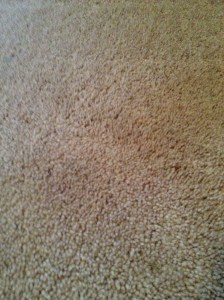 carpet1